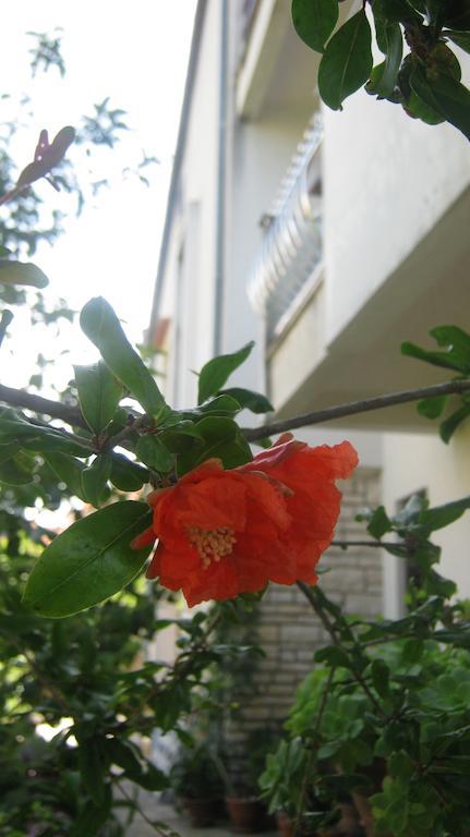 Apartments Grzunov 자다르 객실 사진